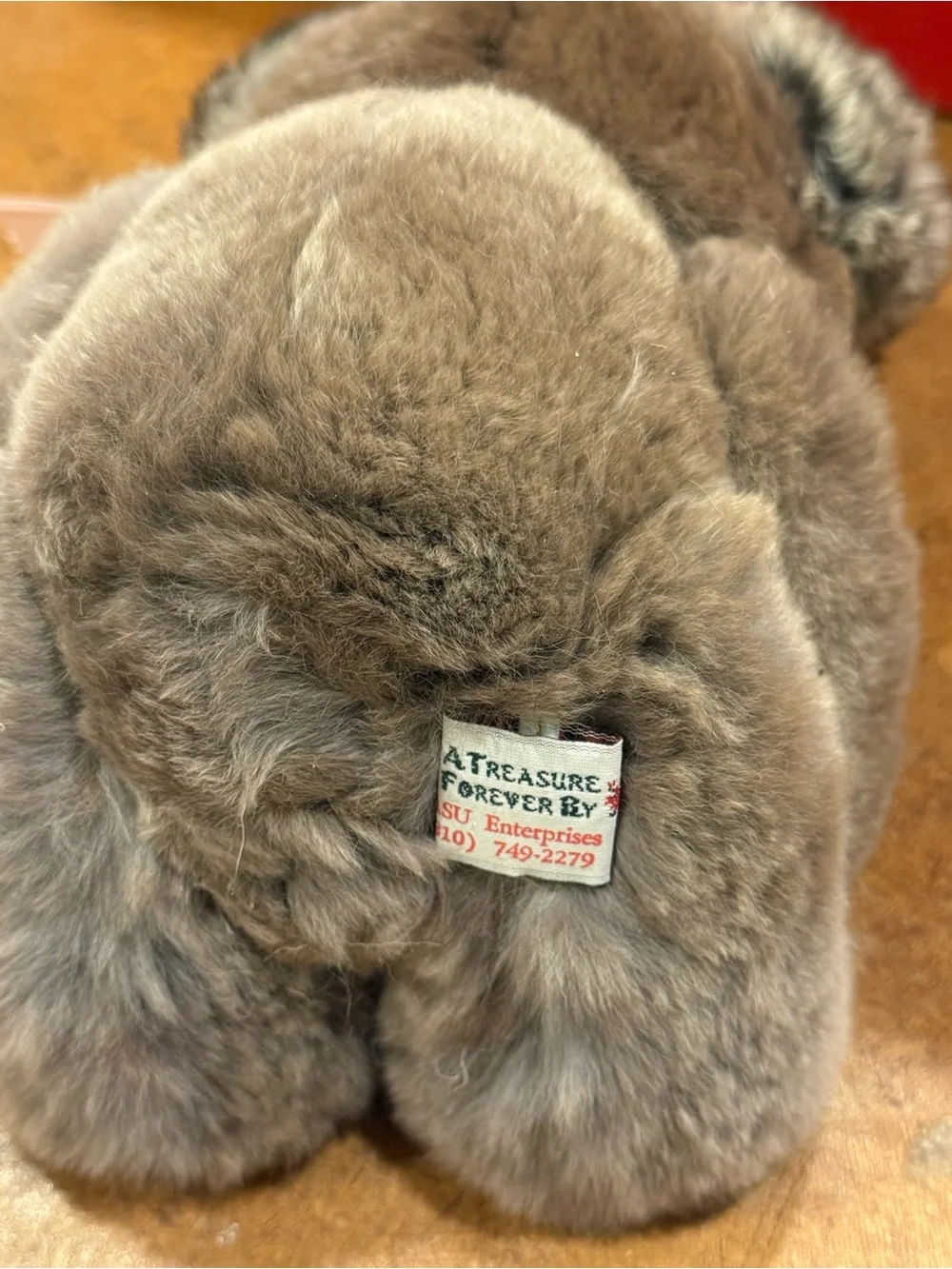 A treasure forever real fur bear
